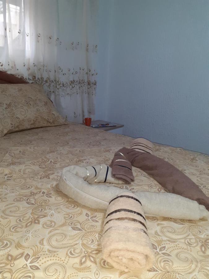 Studio-apartman Milena 2 Podgorica Exterior foto